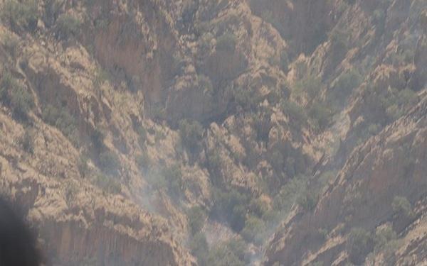 مهار آتش سوزی جنگل های اطراف روستای کریک در شهرستان دنا مهار آتش سوزی جنگل های اطراف روستای کریک در شهرستان دنا
