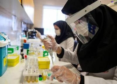 نوآوری های تجهیزات در حوزه زیستی توسعه یافت ، بررسی سلولی و میکروبی با کیت های ایران ساخت