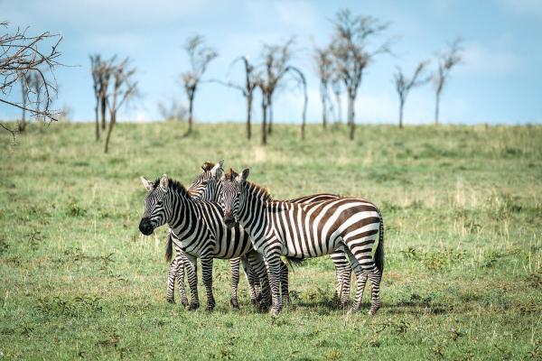 15 عکس که شما را مجبور می نمایند به تانزانیا سفر کنید!