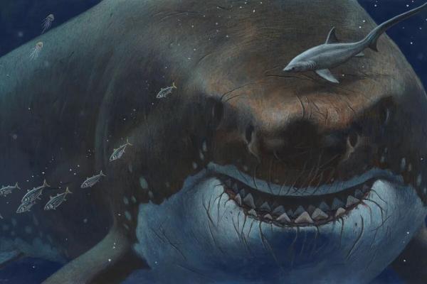 از دایناسور 35 متری تا نهنگ 200 تنی؛ ابهت حیوانات ماقبل تاریخ، عکس
