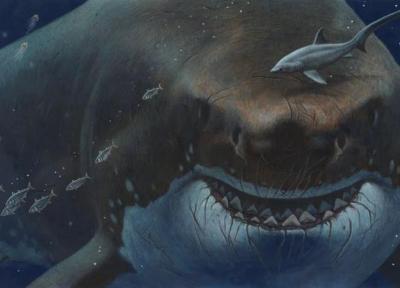 از دایناسور 35 متری تا نهنگ 200 تنی؛ ابهت حیوانات ماقبل تاریخ، عکس
